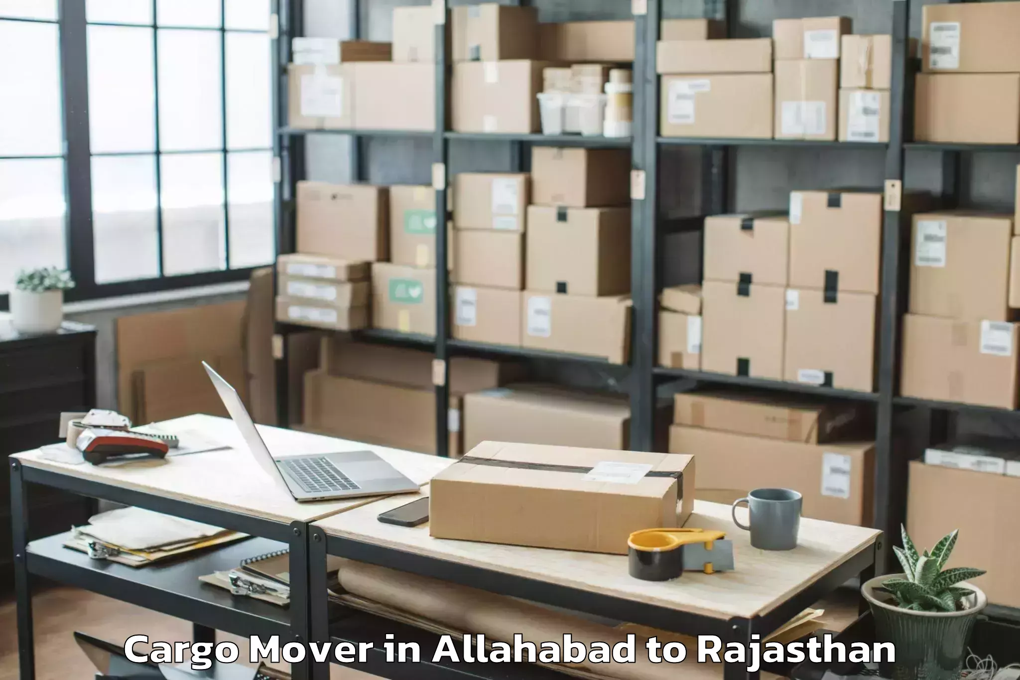 Affordable Allahabad to Hindaun Cargo Mover